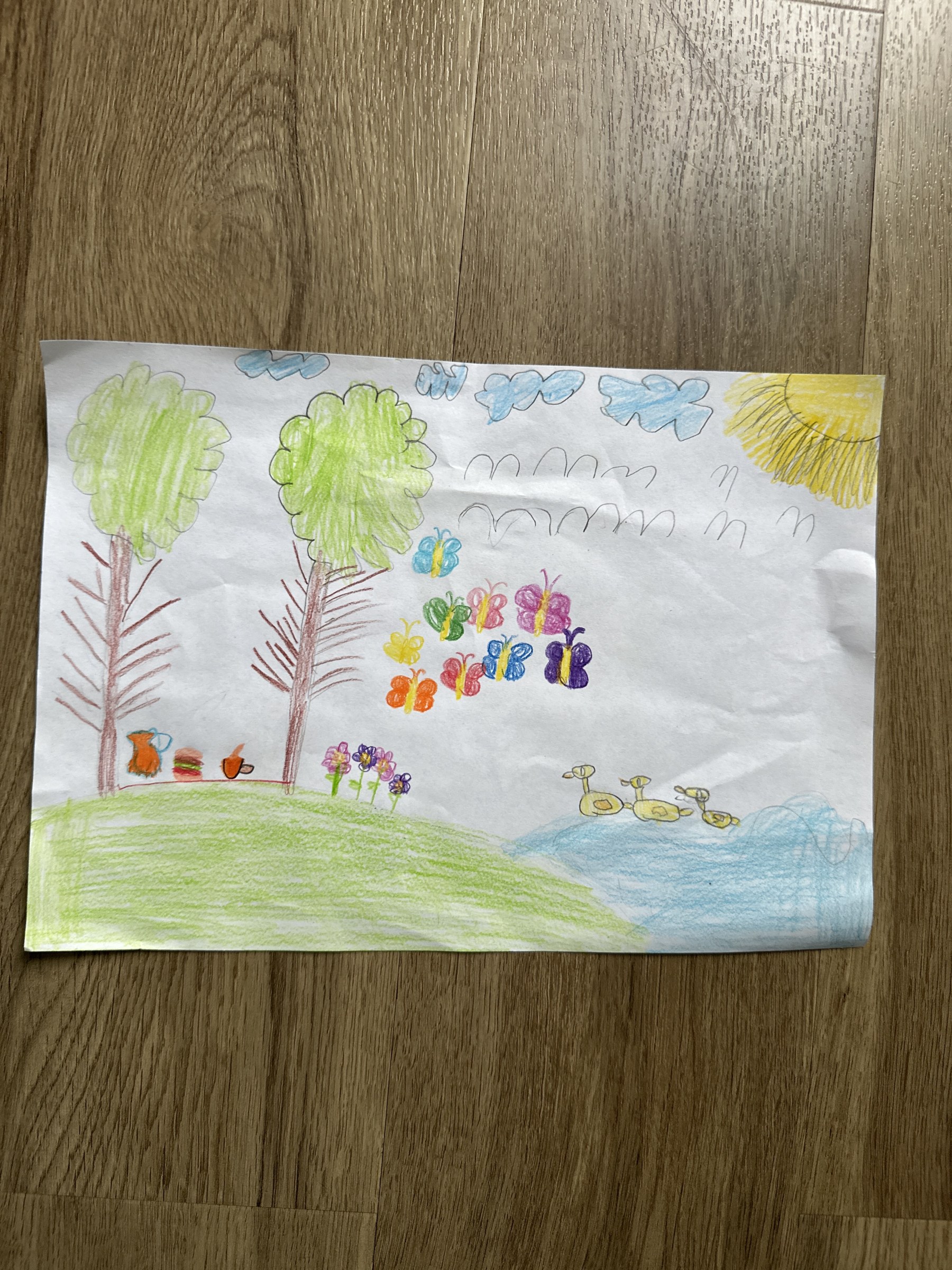 Der Wald von Amelia