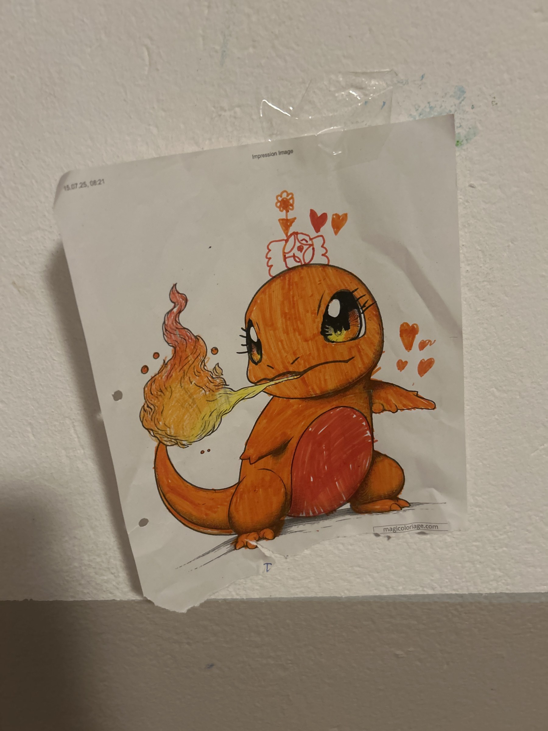 Hot von Tryphena